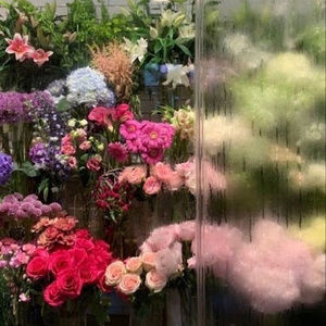 Meet your Posher, Riley